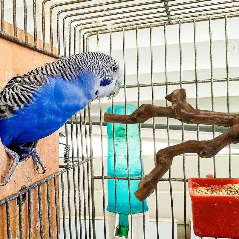 Pet Standing Stick Wild Grape Wood Pole Parrot Cockatiel Parakeet Station Board Bite Claw Grinding Toy Bird Cage Accessories - Image 4