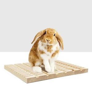 Rabbit Scratch Board Claws and Teeth Care Antiskid Edible Natural Wood Pa Wooden Chew Toys Bunny Rabbit Guinea Pig
