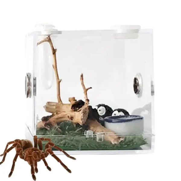 Reptile Acrylic Transparent Terrarium Habitat Breeding Box Reptiles Cage Mini Insect Feeding Box Small Animals Feeding Cage