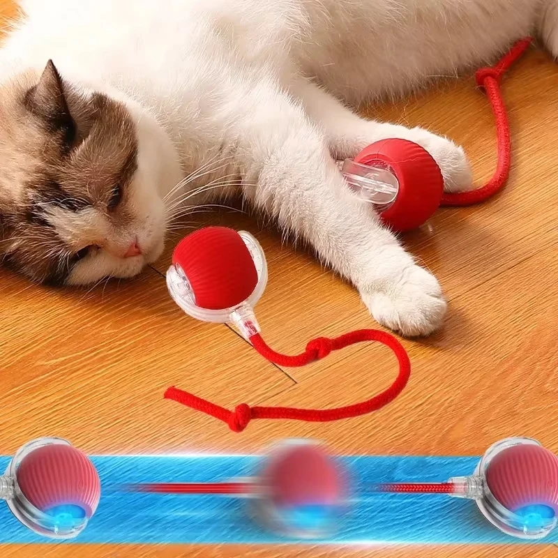 Hot Electric Dog Ball Toys Automatic Rolling Ball Rechargeable Smart Pet Interactive Plush Toy Dog Cat Training Imitate Mouse - Image 6
