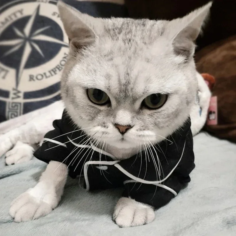 Christmas Pet Cat Costume Clothes for Cats Winter Kedi Katten Sphynx Sweatshirt Hoodie Suit Mascotas Clothing Ropa Para Gato - Image 4