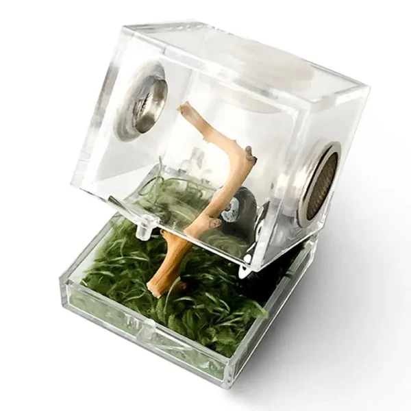 Reptile Acrylic Transparent Terrarium Habitat Breeding Box Reptiles Cage Mini Insect Feeding Box Small Animals Feeding Cage - Image 6