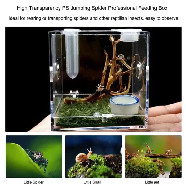 Reptile Acrylic Transparent Terrarium Habitat Breeding Box Reptiles Cage Mini Insect Feeding Box Small Animals Feeding Cage - Image 3