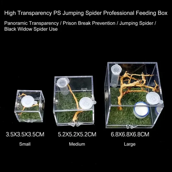 Reptile Acrylic Transparent Terrarium Habitat Breeding Box Reptiles Cage Mini Insect Feeding Box Small Animals Feeding Cage - Image 4