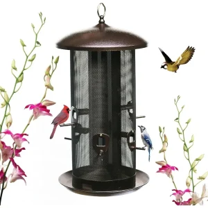 Metal Hopper Bird Feeder Two Chambers，Heavy Duty Mesh Metal Dual Seed Compartments Outdoor Hanging Metal Wild Bird Feeder