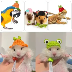Pet Hamster Budgerigar Cockatiel Peony Parrot Bird Hat Wool Crochet Knitted Parrot Hat Small Animals Mini Hat Birds Toys