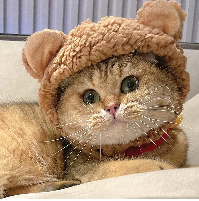 Funny Pet Cat Cute Hair Headgear Cosplay Small Dogs Kitten Knitted Hat Cat Costume Warm Winter Headdress Dog Supplies