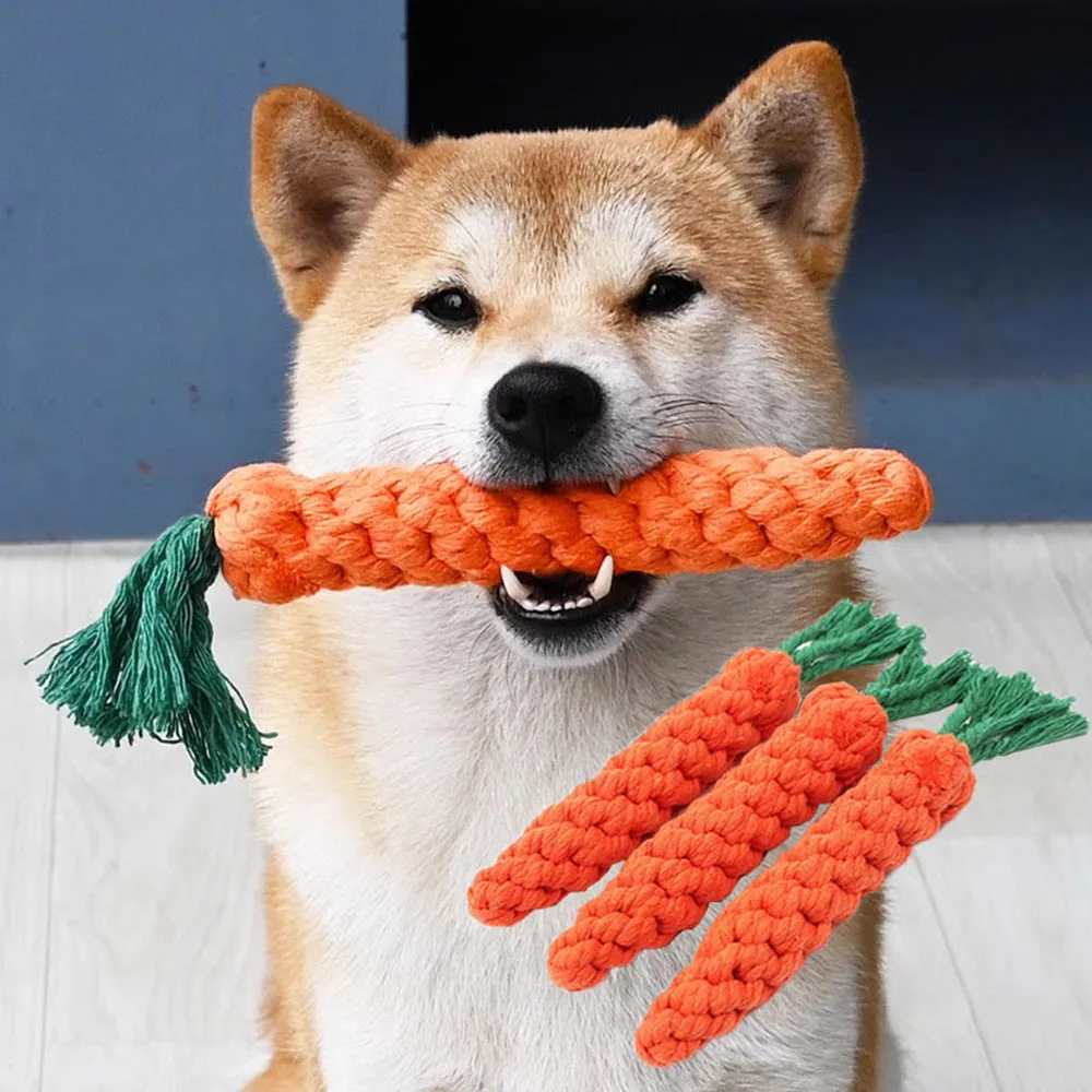 Braided Carrot Rope Chew Toy